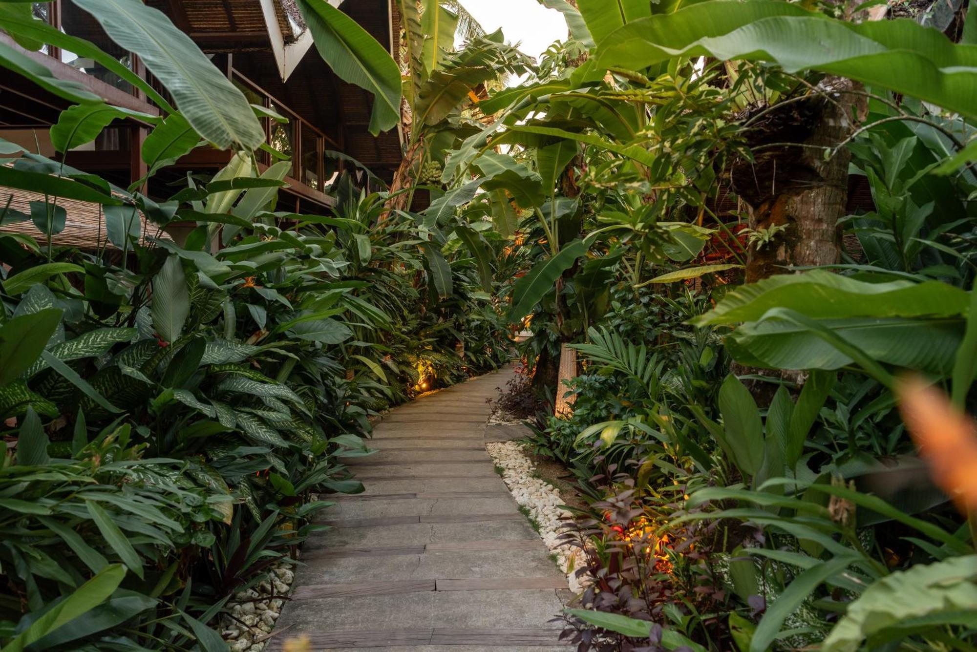 The Hillside Resort Siargao General Luna  Exterior photo