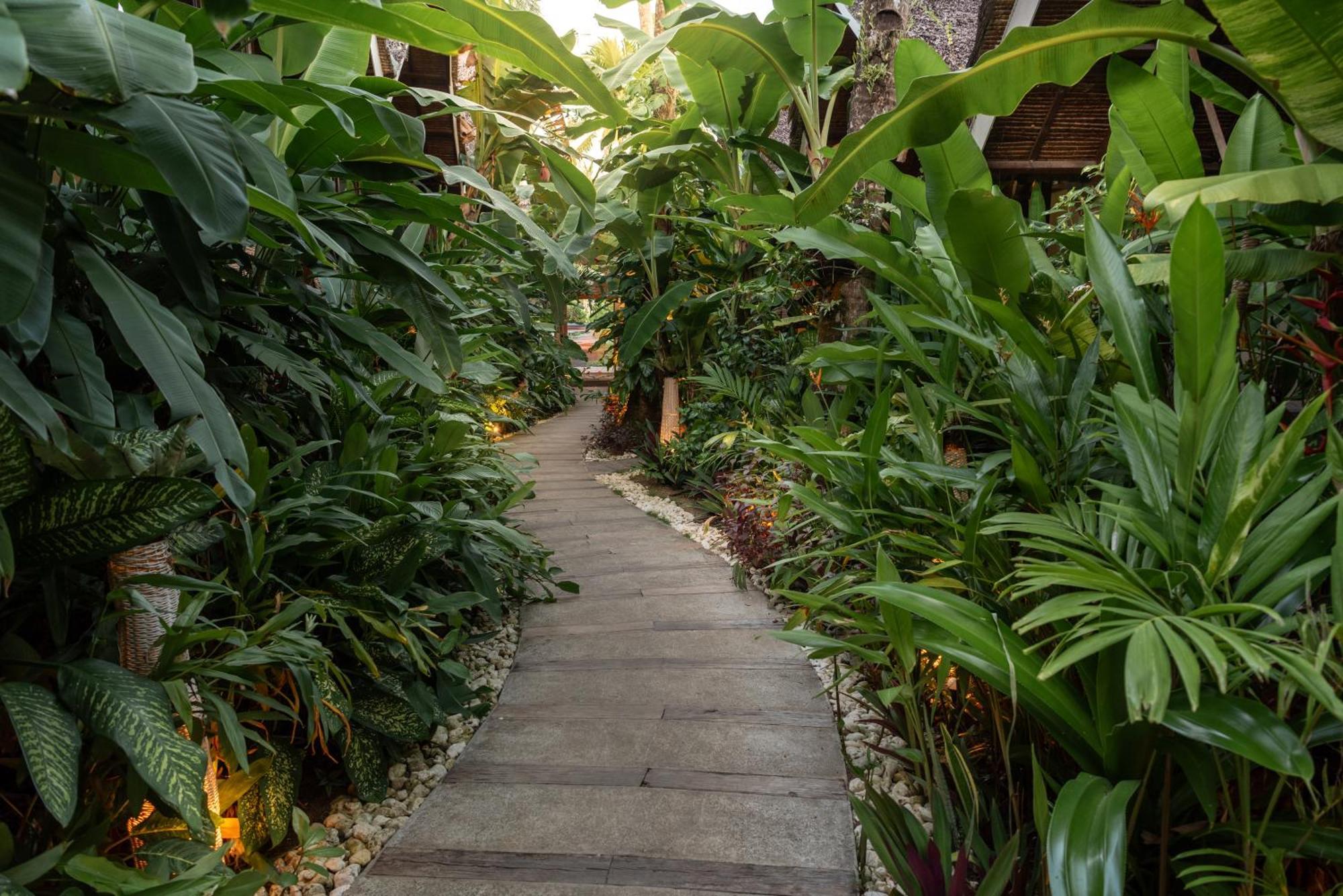 The Hillside Resort Siargao General Luna  Exterior photo