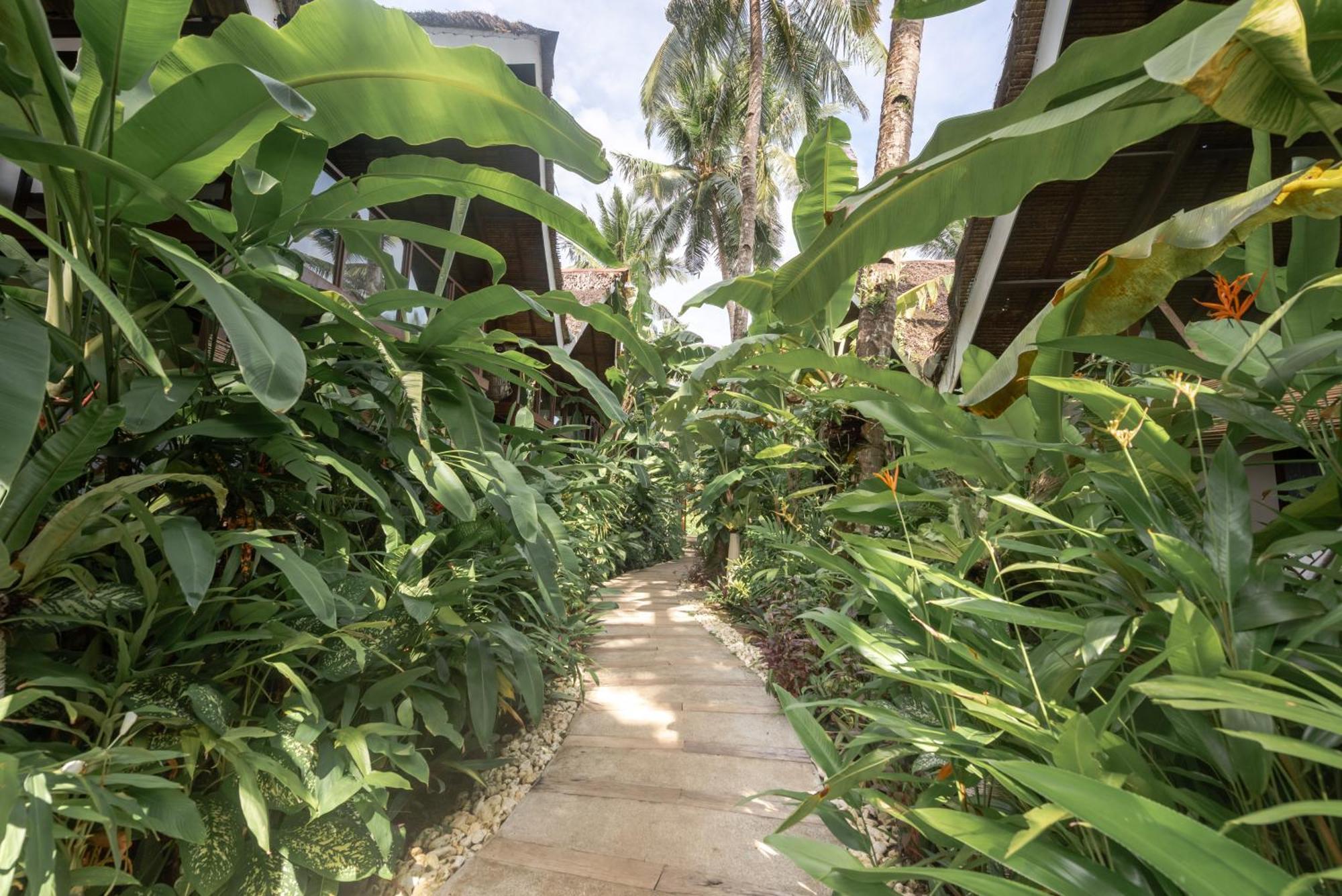 The Hillside Resort Siargao General Luna  Exterior photo